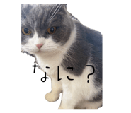 858668974