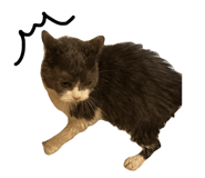 858668979