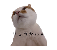 858668984