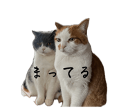 858668992