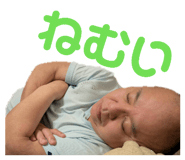 858669194