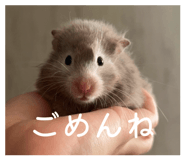 858669367