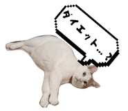 858669432