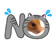 858669440