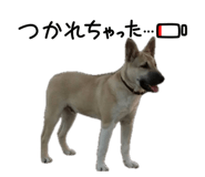 858669687