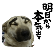 858669694