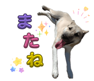 858669695
