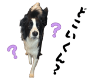 858669860