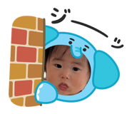 858670084