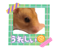 858670311