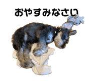 858670372