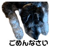 858670376