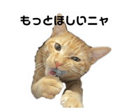 858670385