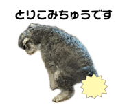 858670396