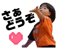 858670511