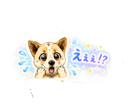 858670661