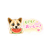 858670662