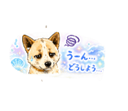 858670663