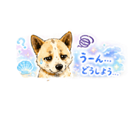 858670668