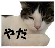 858670788