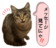 858670793