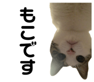 858670814