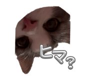 858670865