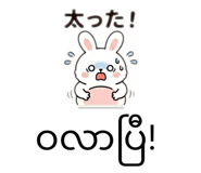 858671333