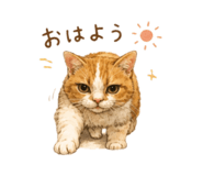 858740041