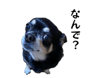 858740889