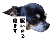 858740890