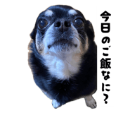 858740893