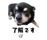 858740895