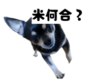 858740896