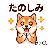 858741540