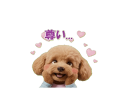 858741564