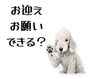 858741843