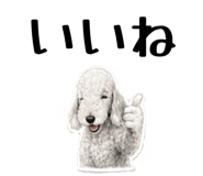858741845