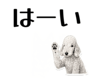 858741848