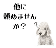 858741853