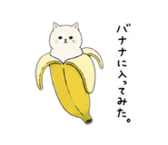 858742546