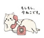 858742556