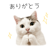 858743267