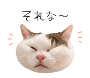 858743271