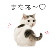 858743276