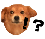 858744145