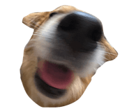858744151