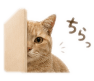 858744210