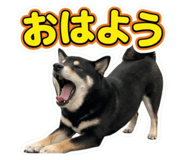 858744841