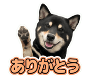 858744847